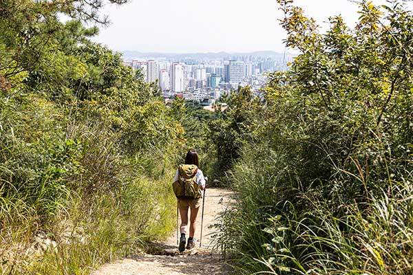 징매이고개 근처에서는 수풀 위로 계양구의 도심이 펼쳐진다.