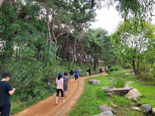 '천년숲'에 조성된 황톳길에 시민들이 맨발로 걷고 있다.(경북도 제공) 2023.10.17.