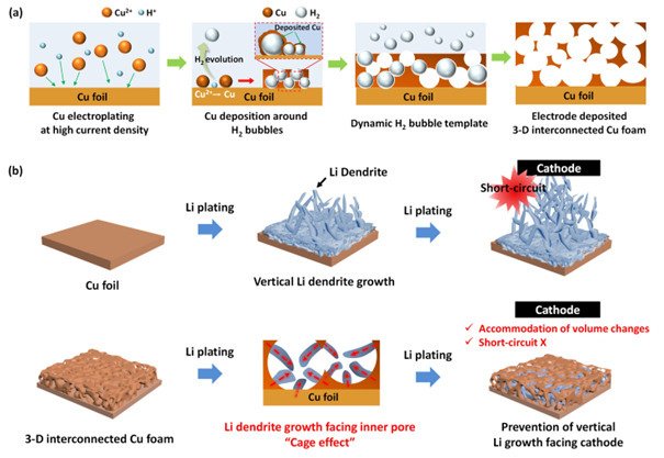 3차원 다공성 구리 음극 집전체 합성 과정 모식도 및 리튬 덴드라이트 제어·성장 메커니즘.[한국생산기술연구원 제공]