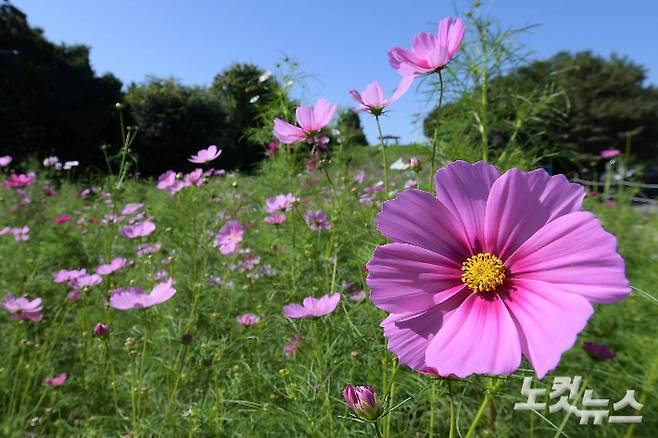 17일 부산지역은 아침 기온이 11.9도까지 떨어지며 올가을 들어 가장 낮은 기온을 기록했다. 박종민 기자