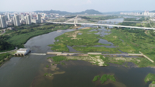 세종보 인근 금강 전경