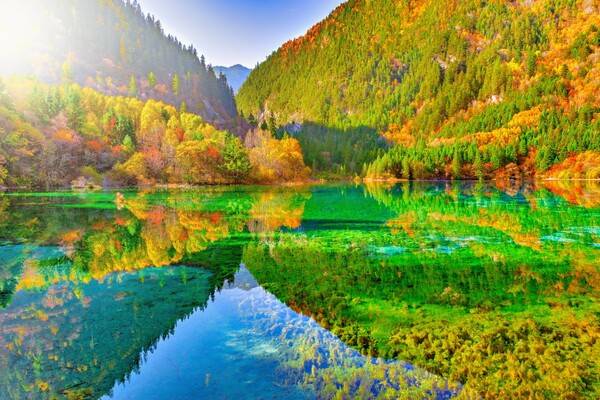 출처: 게티이미지뱅크 (세계 단풍 여행 명소)