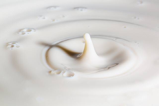 우유는 질 높은 단백질 공급원이다./사진=게티이미지뱅크