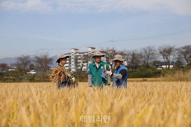 이형일 통계청장(가운데)이 지난 18일 경북 상주시 합창읍에 위치한 쌀 재배현장을 방문해 쌀 생산량조사를 하고 있다. ⓒ통계청