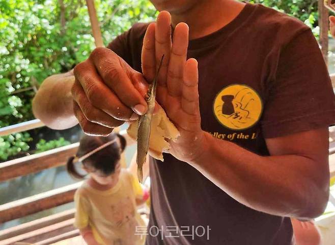 보트 타고 가며 즉석에서 잡은 학꽁치