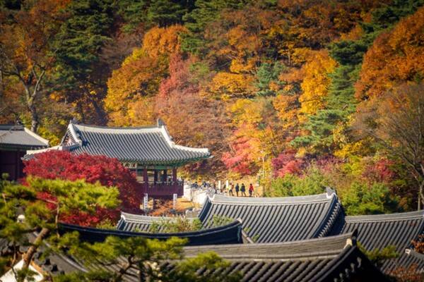 출처: 경기관광포털 (수도권 단풍 여행)