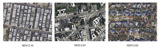 녹지의 풍부도와 식생지수(NDVI) 수치 사례. [자료: Science of Total Environment, 2023]