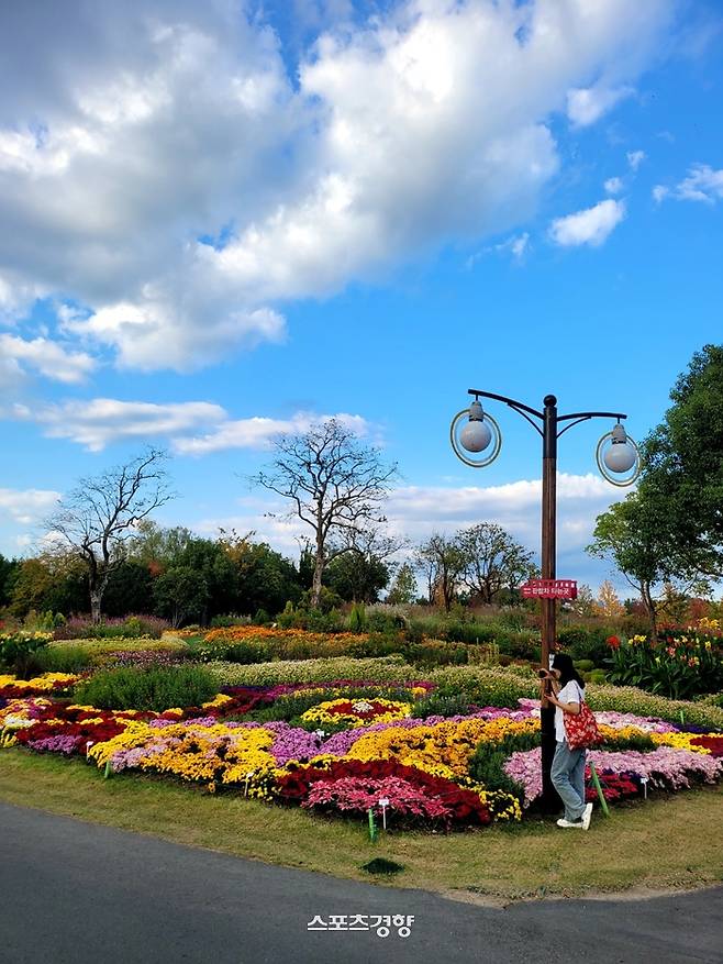 사진|강석봉 기자