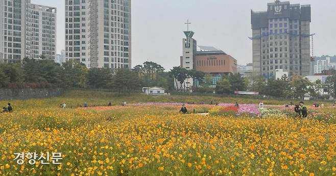 도심 꽃밭에서 즐거운 한때 서울 동대문구가 서울시립도서관이 들어설 곳에 코스모스와 백일홍 등을 심어 ‘지식의 꽃밭’으로 조성했다. 이 부지는 지난 10년간 방치돼 잡풀이 무성하고 쓰레기가 쌓여 있었다.