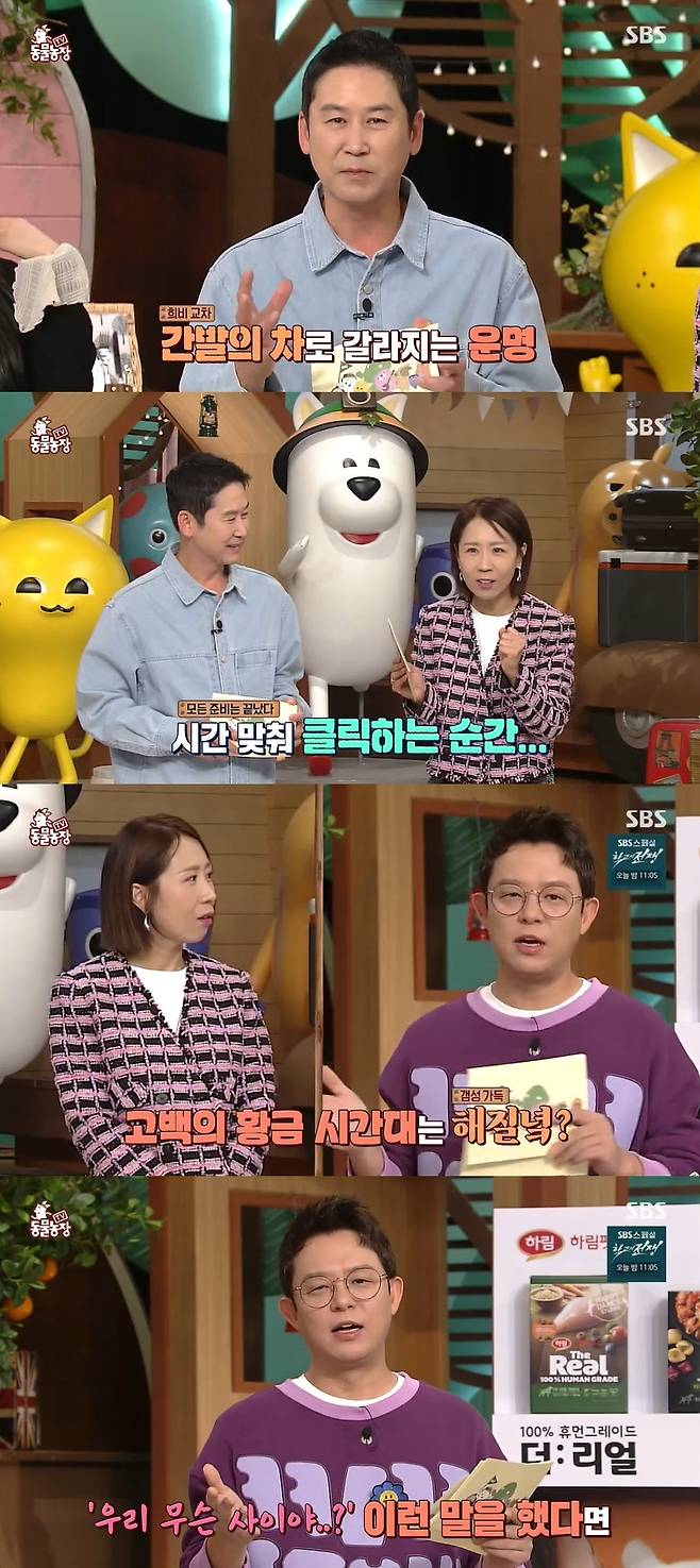 SBS ‘TV 동물농장’ 캡처