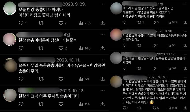 SNS에 올라온 한강 공원 내 미국흰불나방 유충 목격담 [엑스(X·옛 트위터) 캡처. 재판매 및 DB 금지]