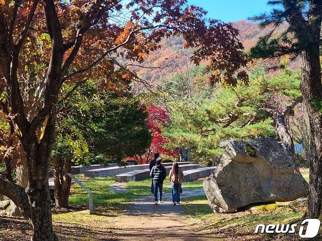 올 가을 단풍 절정기에 접어든 22일 강원 평창군 대관령면에 위치한 대관령 하늘목장을 찾은 나들이객들이 즐거운 시간을 보내고 있다. 2023.10.22/뉴스1 ⓒ News1 윤왕근 기자