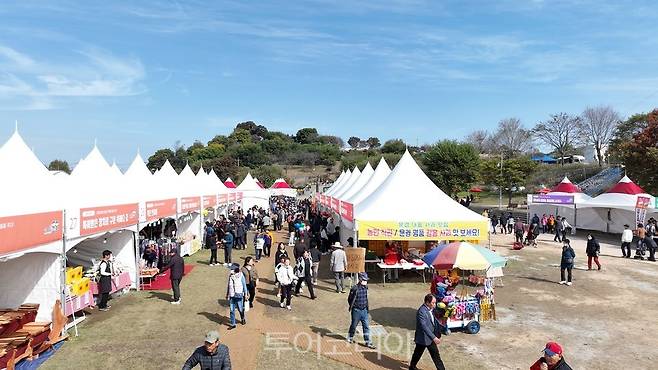  강경젓갈축제장 전경