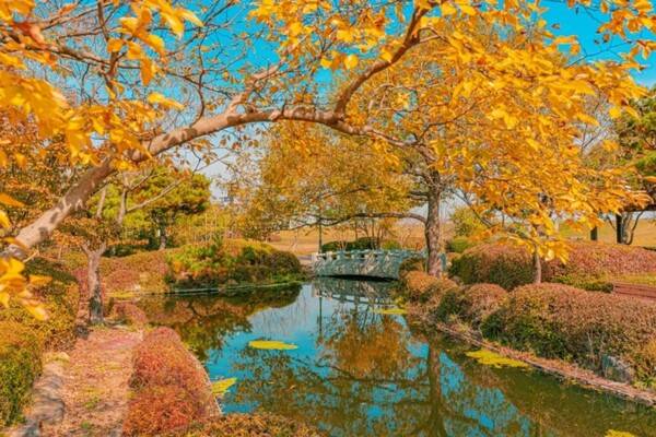 출처 = 온라인 커뮤니티