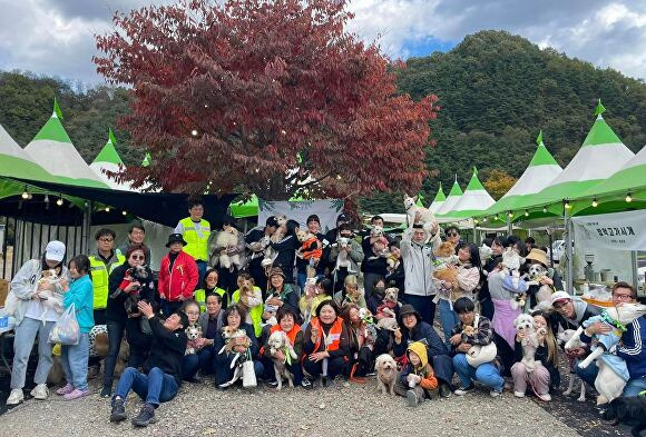 지난 21일 성주군유기동물보호센터 유기견들과 봉사자들이 '가을소풍, 동행' 행사 후 기념촬영을 하고 있다. [사진=성주군]