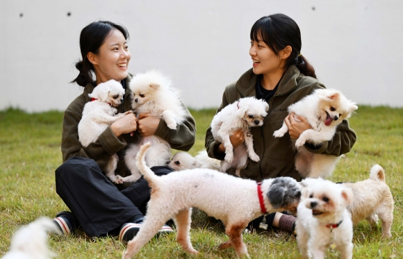 23일 경기 여주시 반려마루 내 놀이터에서 5세 이상 강아지들이 반려마루 직원들과 함께 행복한 시간을 보내고 있다. 2023.10.23 오장환 기자