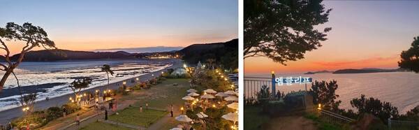 온라인 커뮤니티&nbsp;