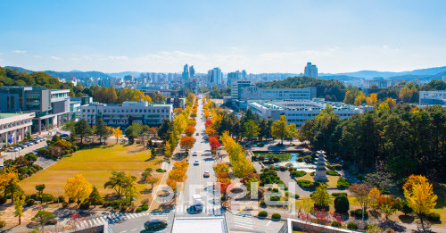 충남대 캠퍼스 전경. (사진=충남대 제공)