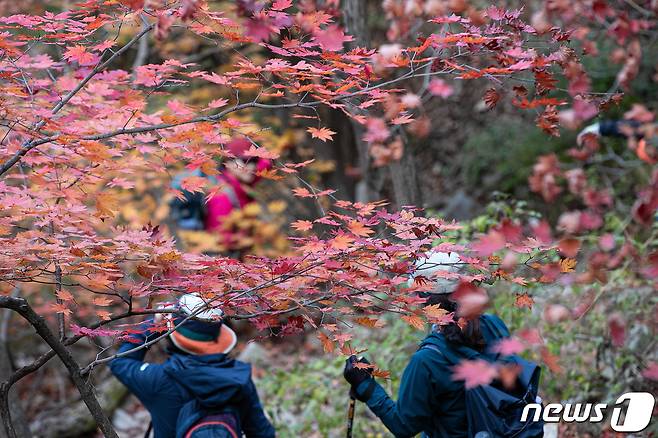 (사진은 기사 내용과 무관함) / 뉴스1 ⓒ News1