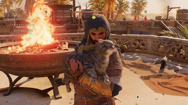 지나칠 수 없는 냥냥 쓰다듬기