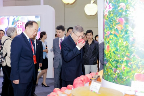 Chongquan, the President of China Society for World Trade Organization Studies, and guests, were appreciating Qixia apples at the Qixia Exhibition Hall.