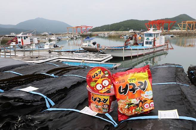 완도산 다시마와 농심 너구리. 아래는 농심 꿀꽈배기에 들어가는 아카시아꿀 채밀 현장.  농심