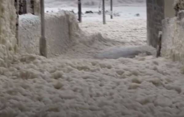 온라인 커뮤니티