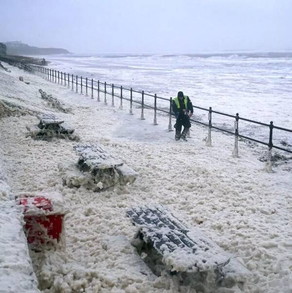 온라인 커뮤니티