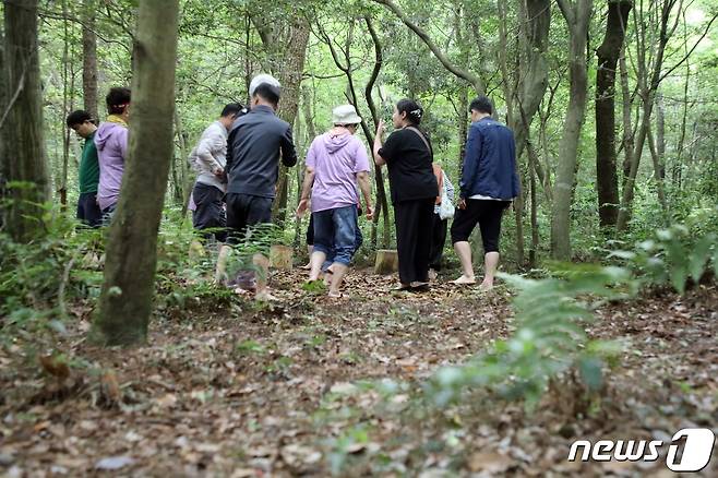 제주도민과 관광객 대다수가 제주의 독특한 지형인 '곶자왈'이 제주의 환경적 가치를 대표하는 자원으로 꼽았다. 제주 곶자왈 숲길. 곶자왈은 제주도 화산활동 중 분출한 용암류가 만들어낸 불규칙한 암괴지대로 숲과 덤불 등 다양한 식생을 이루는 곳이다/뉴스1 ⓒ News1 ⓒ News1 고동명 기자