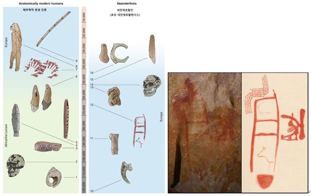 실비아 벨로 등 영국 자연사박물관 연구팀이 2021년 7월 발표한 논문 '네안데르탈인 예술 분석(Boning up on Neanderthal art)'에 실린 해부학적 현생인류와 네안데르탈인의 유물 연대표. 연대표의 12번에는 최소 6만4,000년 전 네안데르탈인이 그렸던 사다리 모양 기하학 그림이 나와 있다.