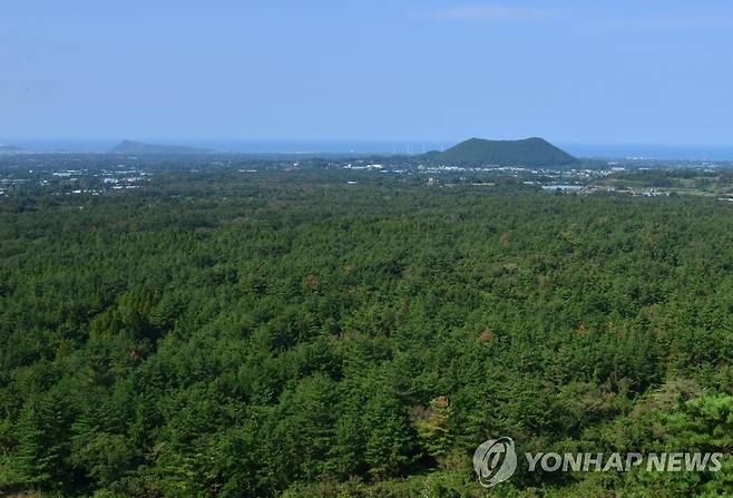 한경곶자왈 전경 [국립산림과학원 제공. 재판매 및 DB 금지]