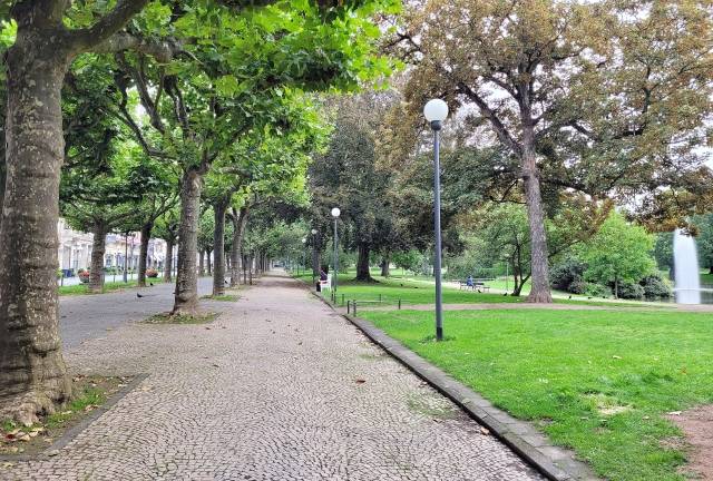 양버즘나무 거리와 연결된 밤머댐공원 경계. 울타리가 없어 녹지가 주는 개방감이 보도에서 공원까지 확장된다.