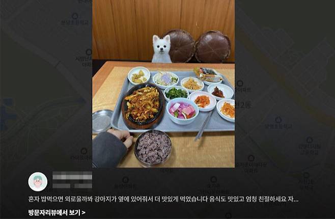 올해 2월 강아지&nbsp;'모찌'가 혼밥 손님 건너편에 앉아 밥친구가 되어준 모습. 포털사이트 후기 갈무리
