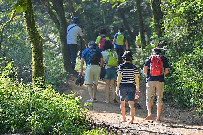 지난 9월 강원도 원주시 운곡솔바람길에서 열린 '제1회 원주 맨발걷기 축제'에 참가한 사람들이 맨발로 흙길을 걷고 있다. 일각에선 맨발 걷기 열풍을 떠들썩한 등산 문화에 대한 반작용으로 나온 '미니멀 산행' 욕구로 해석하기도 한다.  /원주시 제공