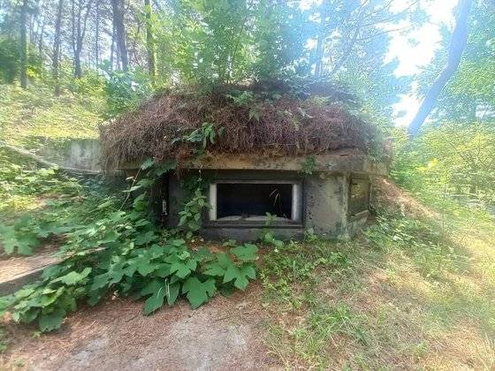 청남대 안 곳곳에는 과거 청와대 경호실과 군 병력이 주둔했던 벙커가 남아있다. 사진 김종기 청남대관리사업소장
