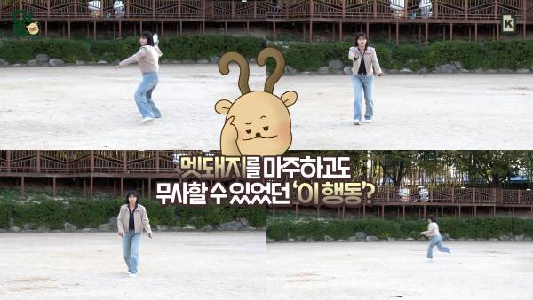 국제신문 유튜브 <뭐라노> 캡쳐