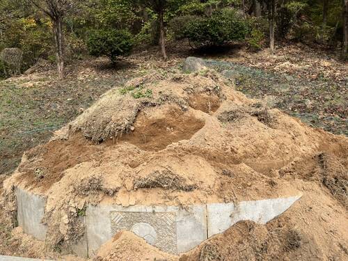 멧돼지에 훼손된 심산 김창숙 선생 묘. 사진=연합뉴스