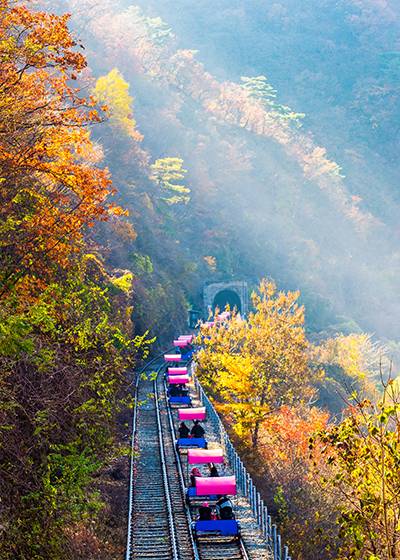 강원 춘천시 남산면에 있는 강촌레일파크에서 운영하는 레일바이크. 문화관광공사