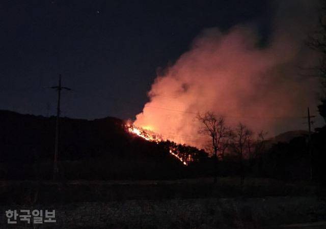 2월 1일 경북 울진군 기성면 정명리 야산에서 산불이 났을 때 모습. 이 불로 소방대원 등 인력 186명이 동원돼 밤새 진화 작업을 펼쳤고, 임야 1.4㏊가 탔다. 한국일보 자료사진