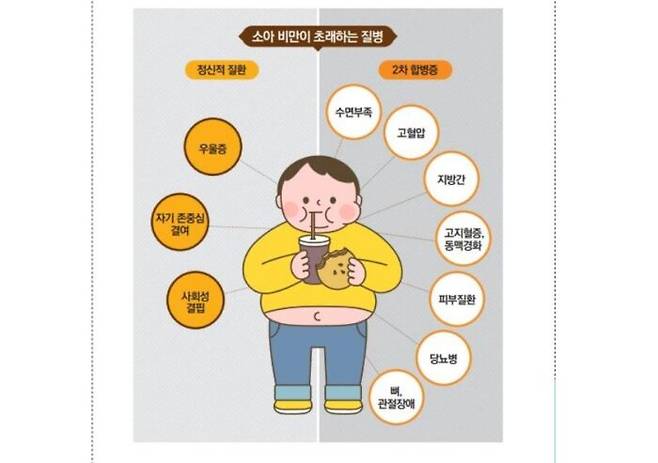 [사진=한국보건의료연구원 소책자 ]