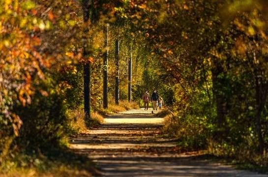 온라인 커뮤니티