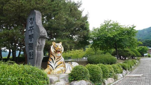 온라인 커뮤니티