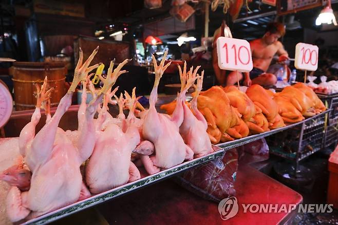 닭고기 판매하는 말레이시아 시장 [EPA 연합뉴스 자료사진. 재판매 및 DB 금지]