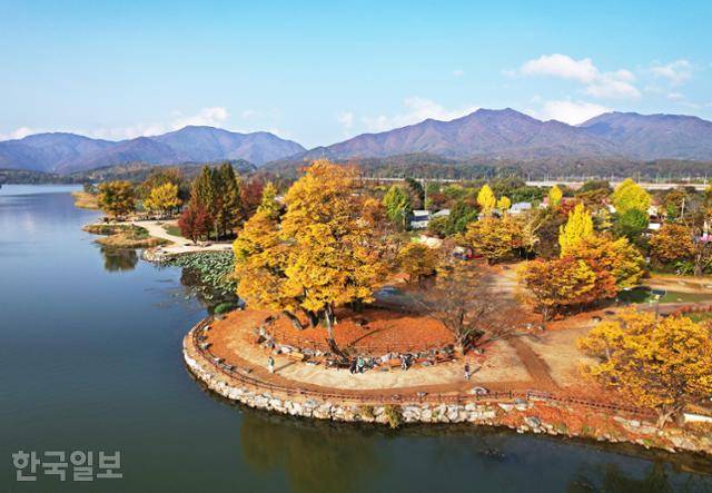 외국인까지 즐겨 찾는 두물머리에 가을이 곱게 내려앉았다.