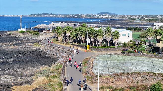 참가자들이 하모리 바닷가를 줄지어 걷고 있다. 연합뉴스