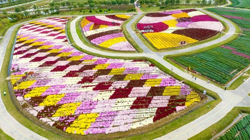 Aerial view of Hexiang Juhai Scenic Area