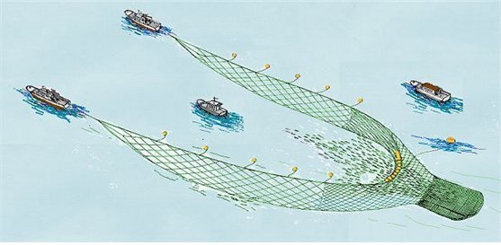 기선권현망 어업 모식도. 자료 해양수산부