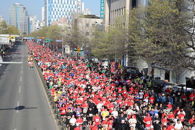 2023년 대구마라톤대회 10㎞ 코스 출발 모습. 대구시 제공