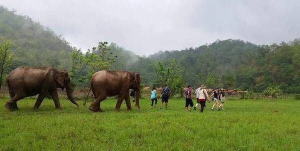 온라인 커뮤니티
