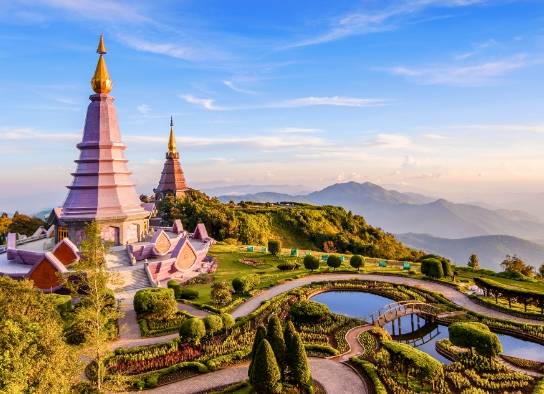 온라인 커뮤니티